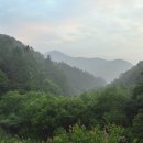 야동제 이미지