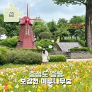 보강천 미루나무숲 | 증평 보강천 미루나무숲 주차장 놀이터 여행