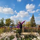 구불2-1길(미소길) 이미지