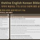 자막이 제공되는 오디오 영한 대역성경: theVine English Korean Bible 이미지