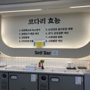 어해랑왕코다리영통구청