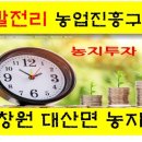 대산부동산공인중개사사무소 이미지