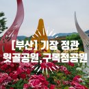 월봉골어린이공원 | [부산] 기장 정관면(정관신도시), &lt;윗골공원 &amp; 구목정공원&gt; 장미, 물놀이장, 어린이놀이터를 다녀와서...