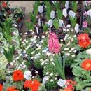 수봉농장 이미지