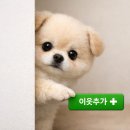 삼성포스정보