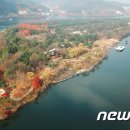 주식회사 남이섬 이미지