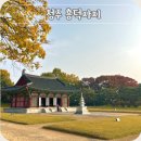 국제성서박물관 | 충북 청주 흥덕사지 직지심체요절 산책로 주차장