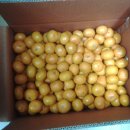 동편어린이집 이미지