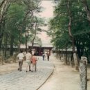 보경AD 이미지
