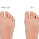 힘내라정형외과병원 이미지