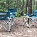 양지-2911 이미지