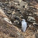 2024 토요키즈클래식 2월 | 설연휴 첫날 산책하다 발견한 '잠자는 돈', 용인 시민이라면 꼭 챙기세요