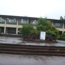 카이스트 이미지