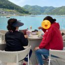 경남 고성 애견동반 카페 ‘네순도르마’ 후기 – 가족과 강아지 모두 힐링한 바다 뷰 카페