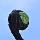 온천공원 이미지