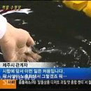 제주종합경기장 실내수영장 이미지