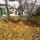 공덕면사무소 이미지