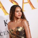 Mufasa The Lion King 이미지