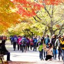 천변밥집 이미지