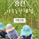 가족농장 이미지