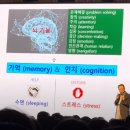 자야마인드 이미지