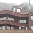 치올라
