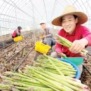 행복가득하우스 이미지