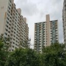 영통로290번길 이미지