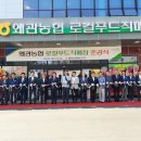 왜관농협 로컬푸드직매장