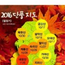 the좋아진다 이미지