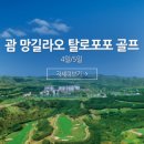 필굿투어앤골프 이미지
