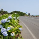 안성리-6 이미지