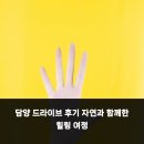 자연과함께 | 담양 드라이브 후기 자연과 함께한 힐링 여정