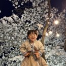 연화지 | 🌸 김천 연화지 벚꽃 아이와 다녀온 후기 (작년 3월 방문, 올해 가기 전 참고)