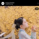 아랑투어 이미지