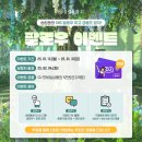 송림 이미지