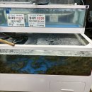대전 중리동 중부회수산 | 대하 광어 | 내돈내산 솔직 후기