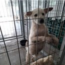 삼호읍경로당 이미지