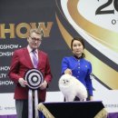 탑클래스 펫 이미지