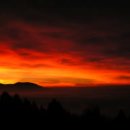 2025 해돋이 행사 이미지