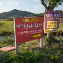 신안천사수산