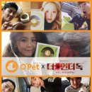오펫 이미지
