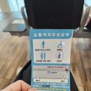 4박 5일 태교여행 후기 / 여행 1~3일차 오전 (제주...플라넷 제주, 제주잔잔, 고씨네천지국수, 거문오름)