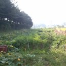 봄과가을이 이미지