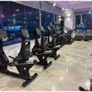 위너스타짐 이미지