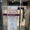 원베일리네일 고속터미널역네일 예신 모여라! 시그너스네일 반포점 이달의아트 찐리얼후기