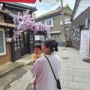 구룡포 일본인 가옥거리 | 구룡포 일본인 가옥거리에 다녀온 후기 그리고 주차팁 &amp; 포항 감성 여행