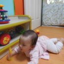 멍멍아 까꿍 이미지