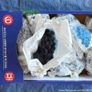 사촌농장 | 송산 포도 추천 켐벨 포도 3kg 가격 농장 체험