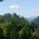 (주)내린천환경